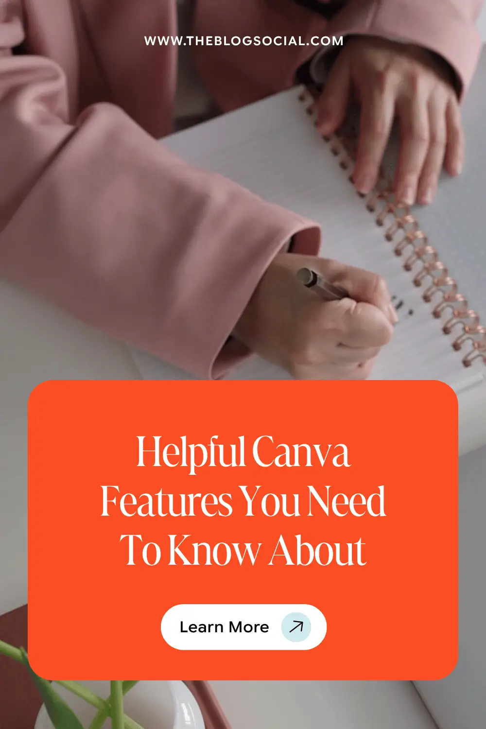 Helpful Canva Features You Need To Know About