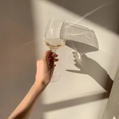 how do you add a link to a canva presentation Cropped_Image (1)