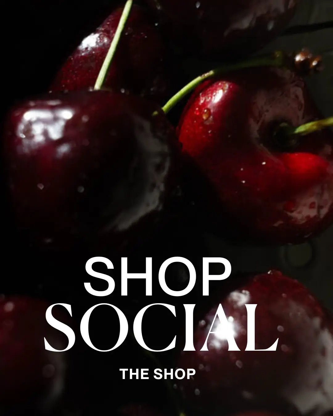 the shop footer the shop footer