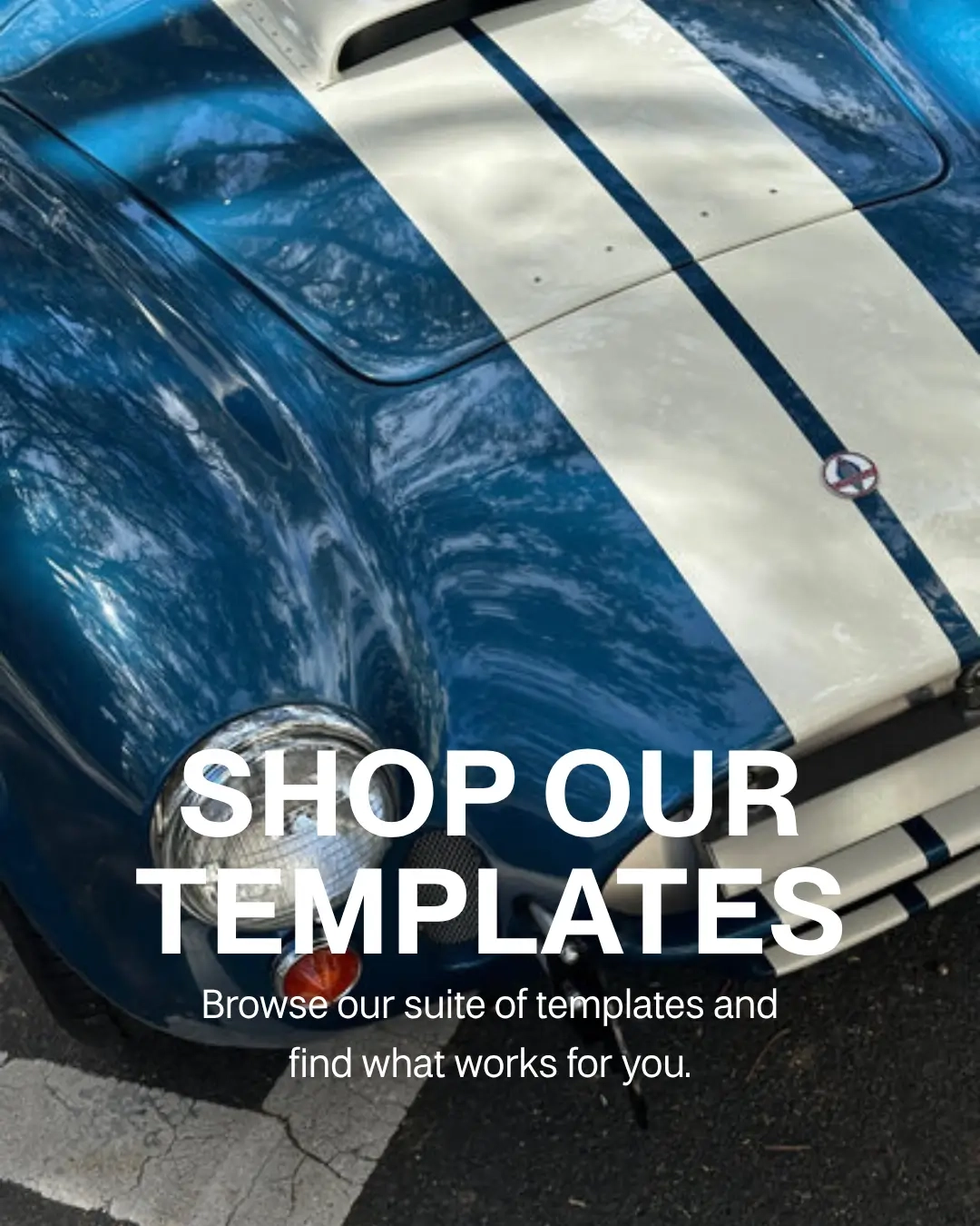 shop the templates