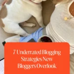 7 Underrated Blogging Strategies New Bloggers Overlook