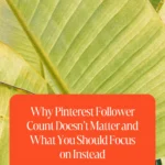 Why Pinterest Follower Count Doesn’t Matter and What You Should Focus on Instead