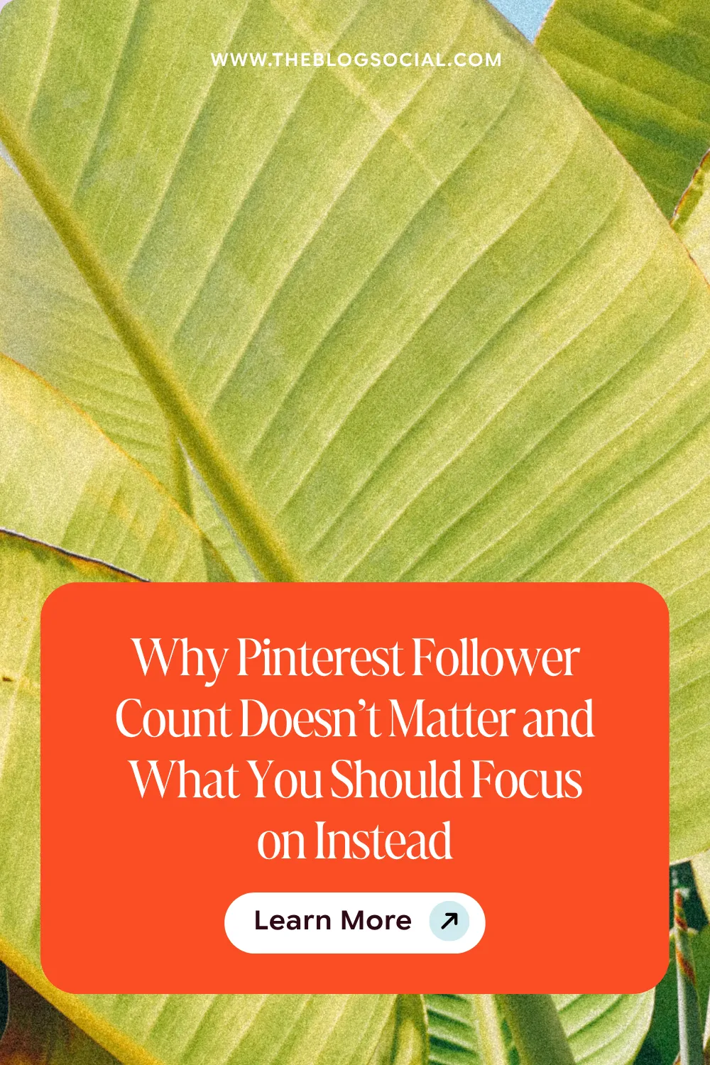 Why Pinterest Follower Count Doesn’t Matter and What You Should Focus on Instead